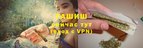 гидра Аркадак