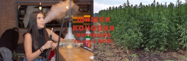 гидра Аркадак