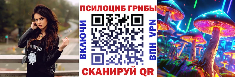 Галлюциногенные грибы Psilocybine cubensis  Рыльск 