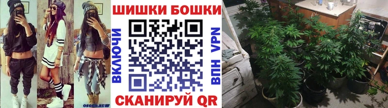 omg зеркало  Рыльск  Бошки Шишки MAZAR 